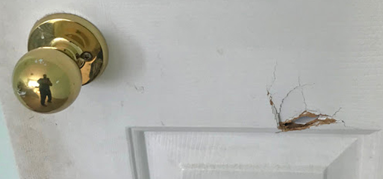 interior door hole repair Arvin